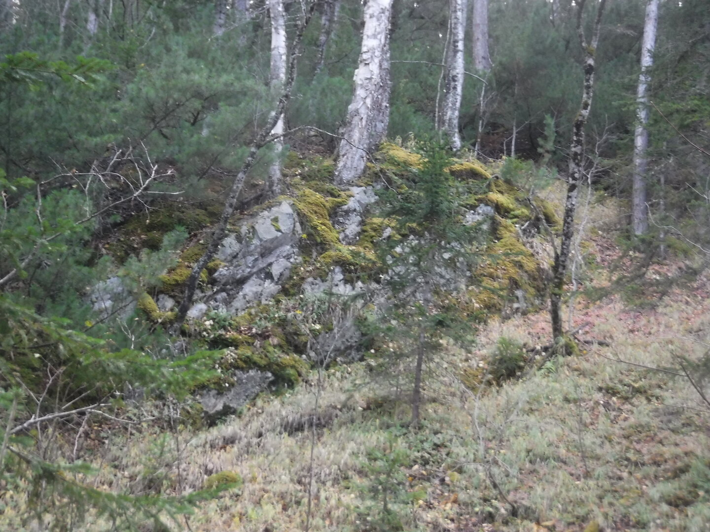 DSCF2372.JPG