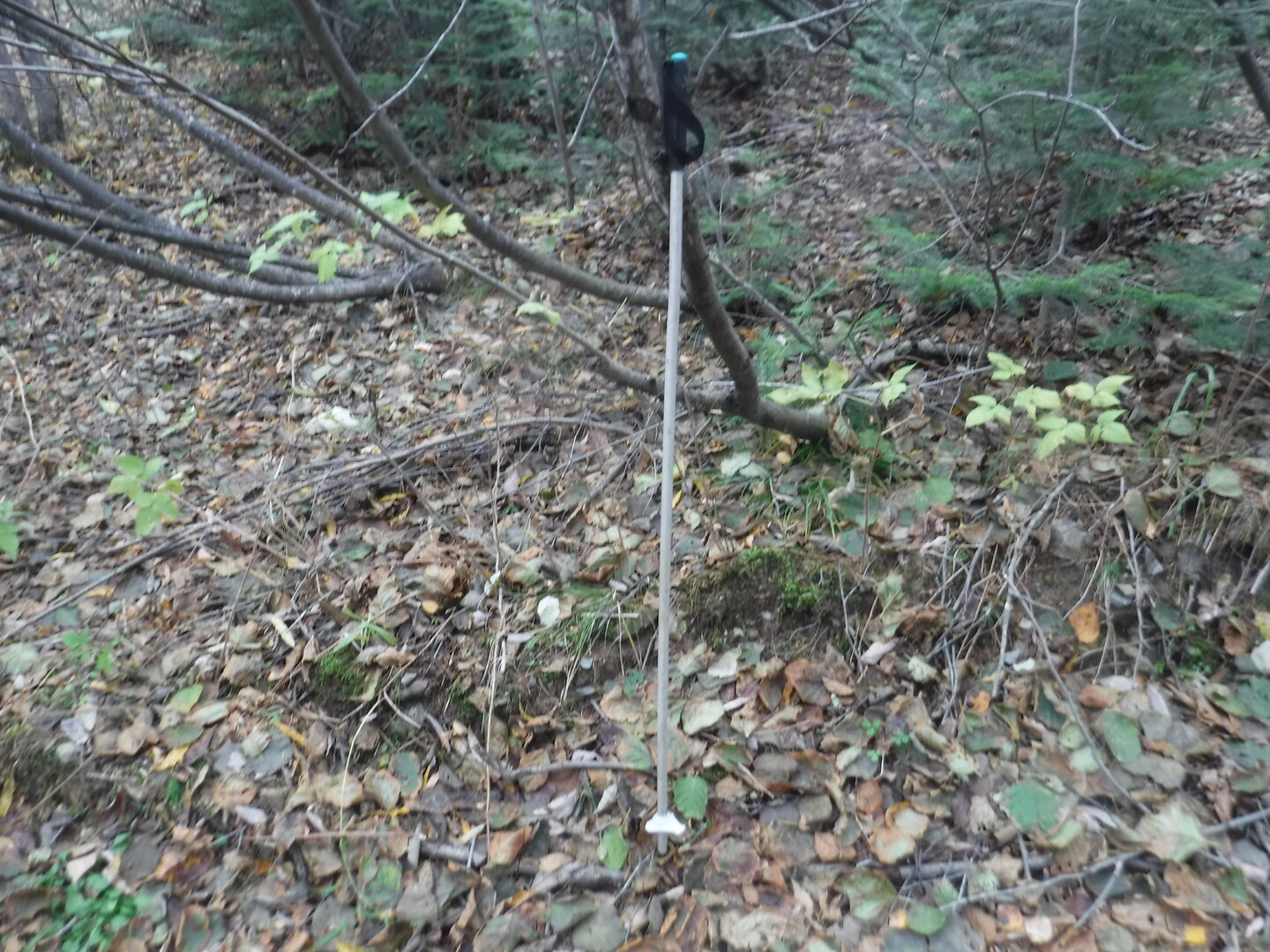 DSCF2374.JPG