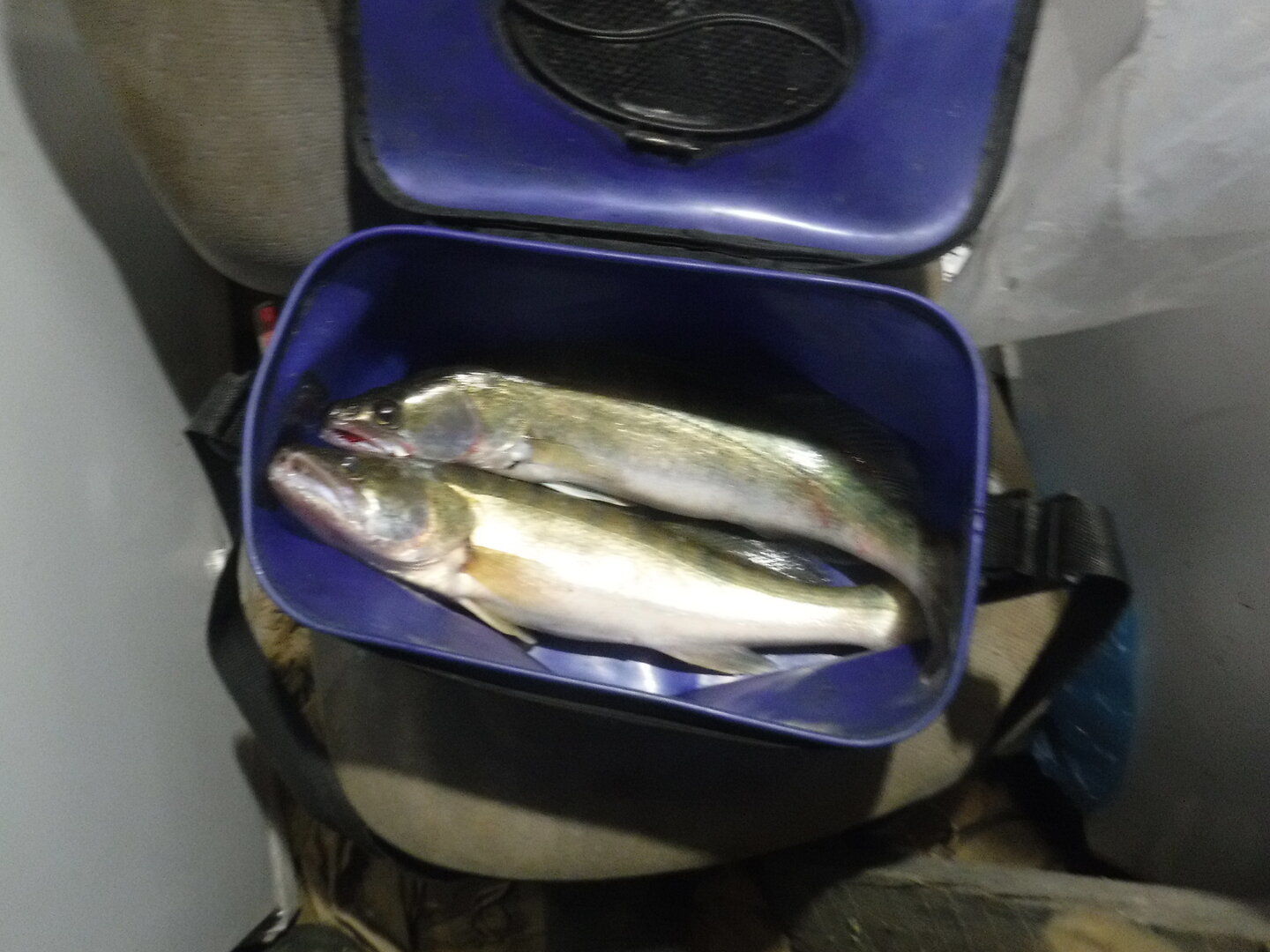 DSCF2390.JPG