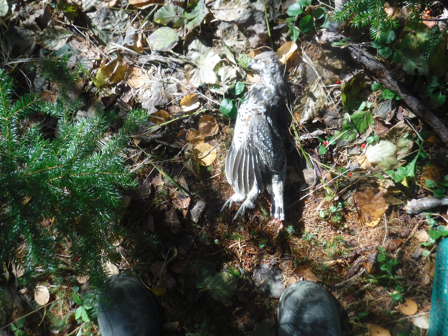 DSCF2397.JPG