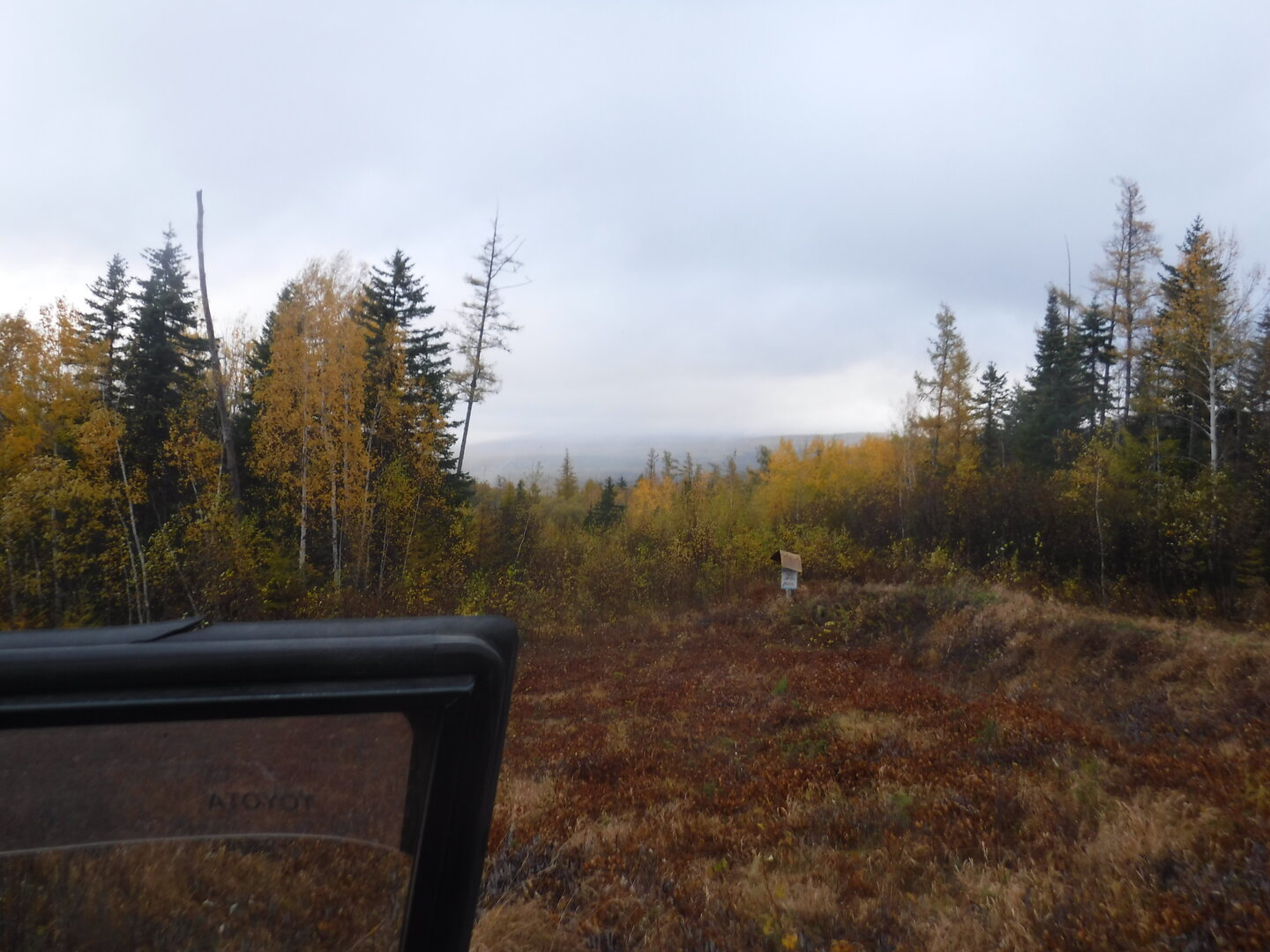 DSCF2413.JPG