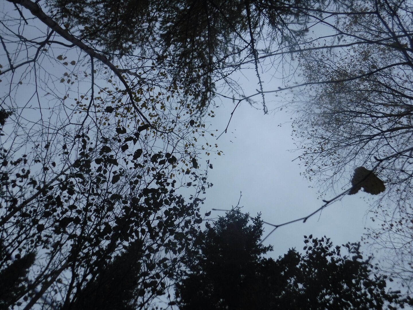 DSCF2417.JPG