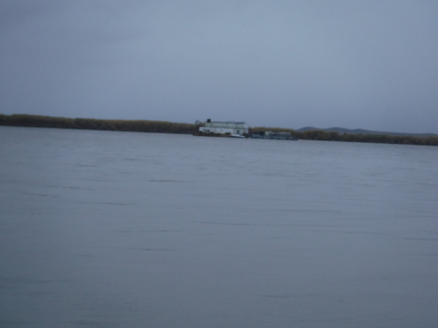 DSCF2451.JPG