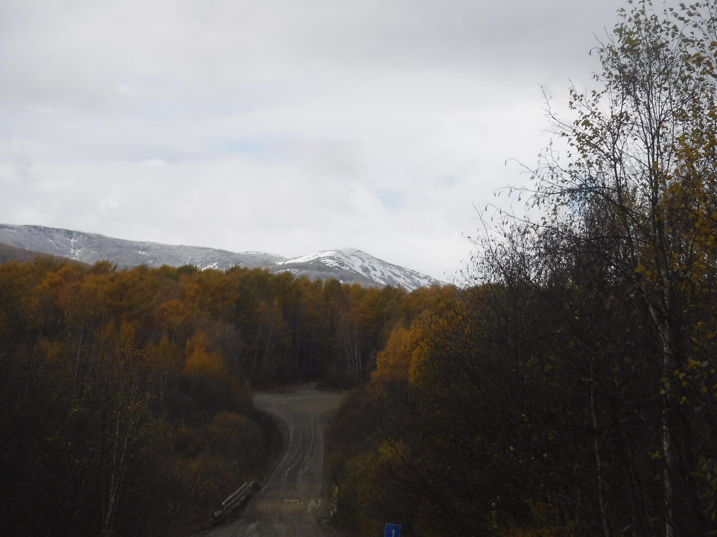 DSCF2459.JPG