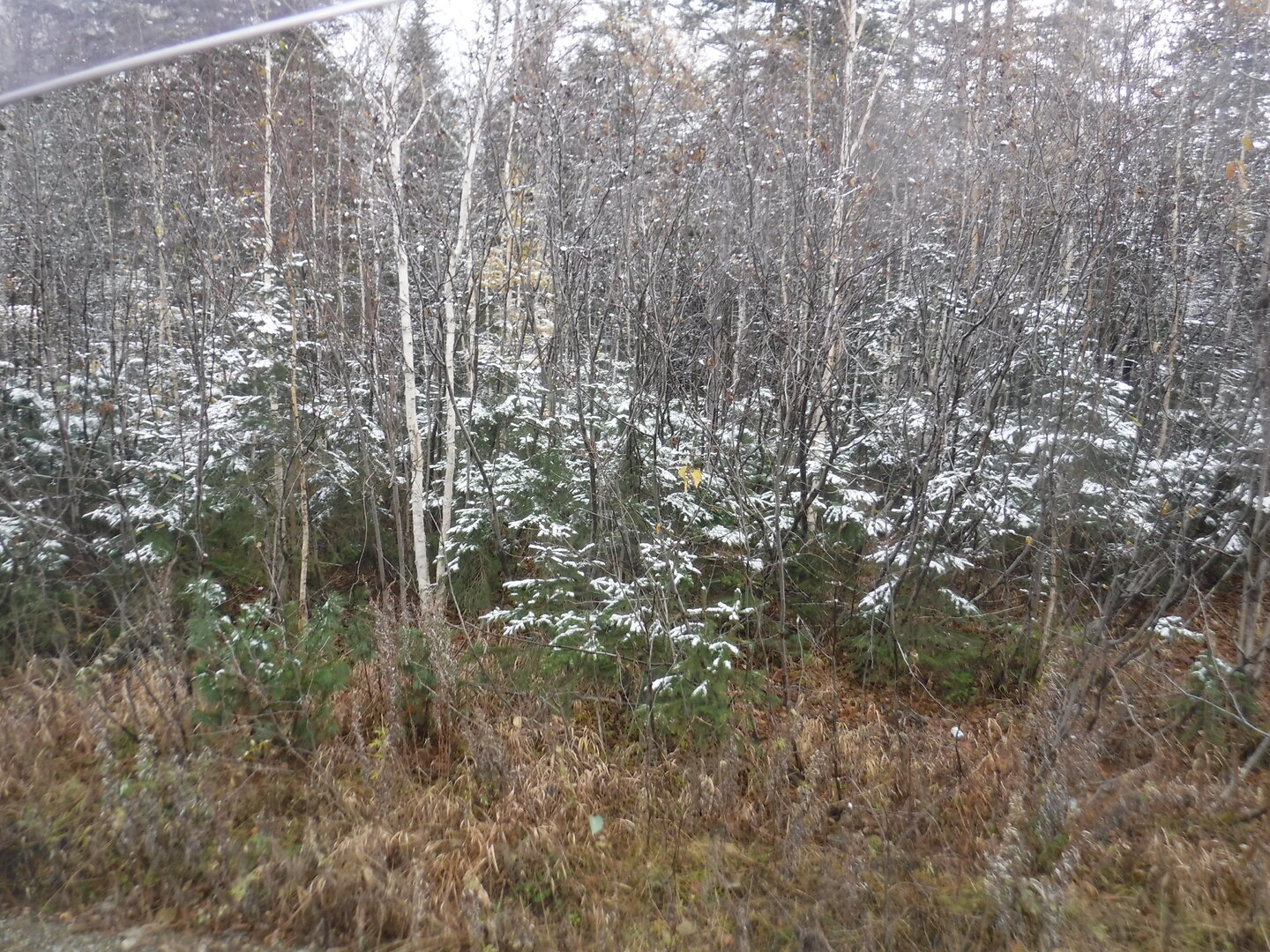DSCF2462.JPG