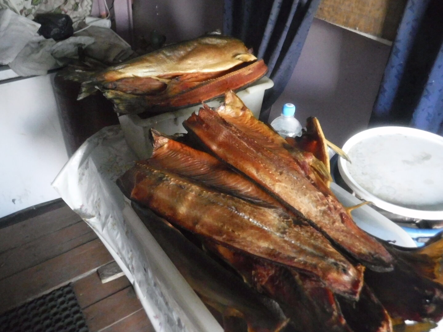 DSCF2487.JPG