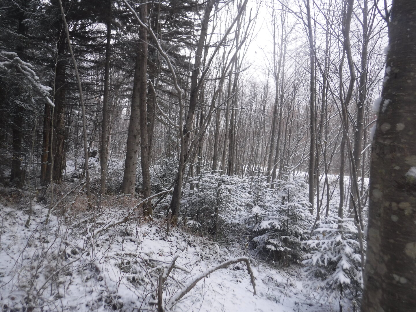 DSCF2504.JPG