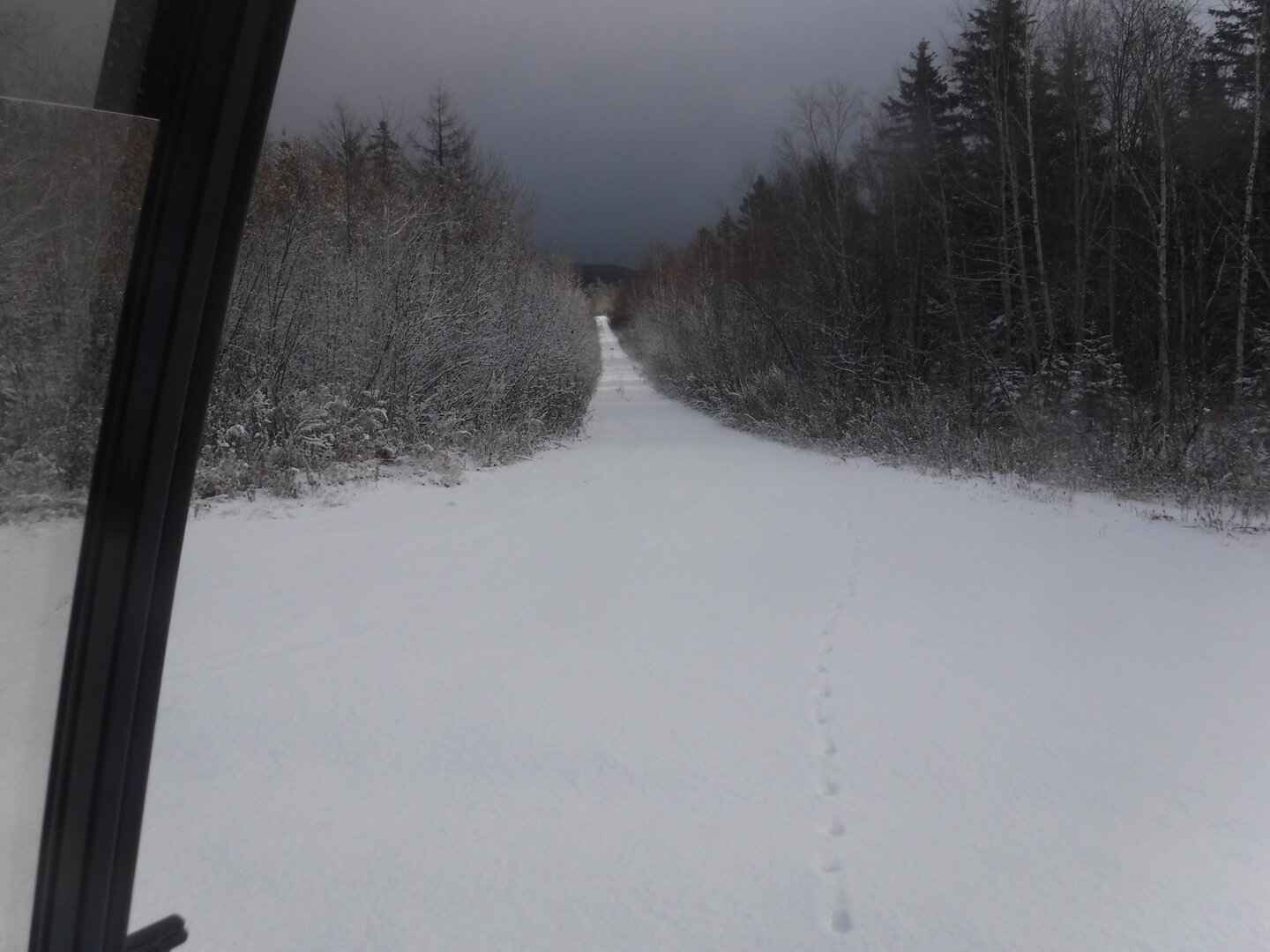DSCF2505.JPG