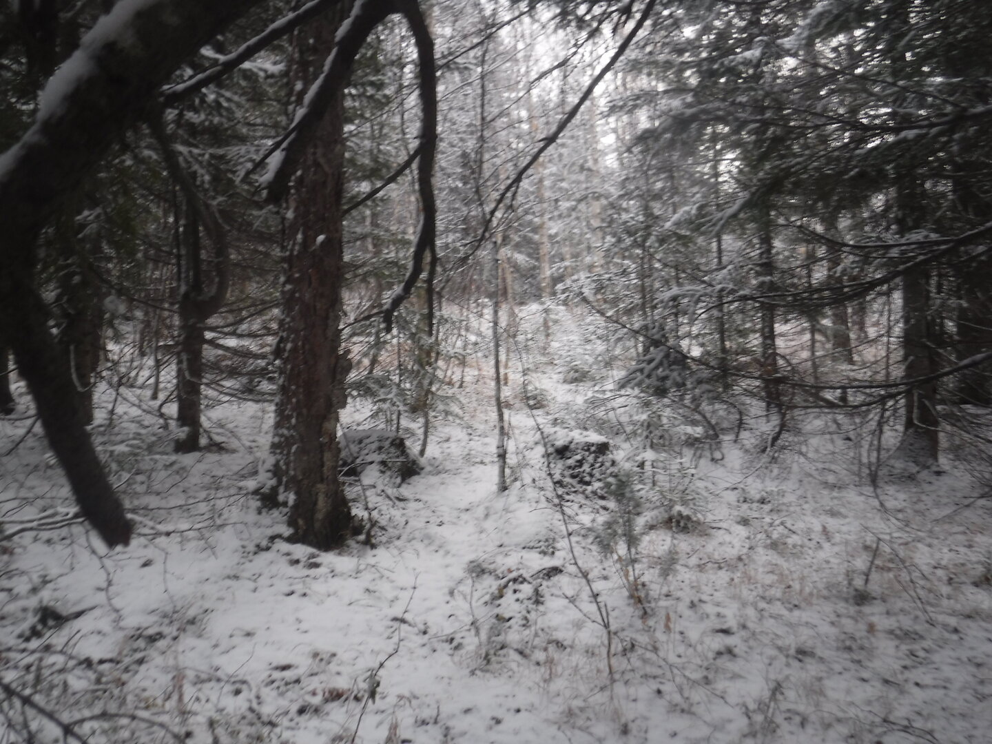 DSCF2508.JPG