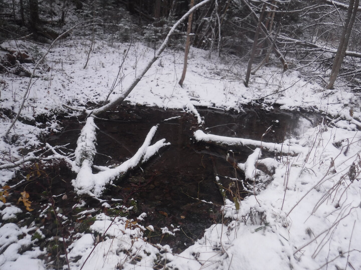 DSCF2513.JPG