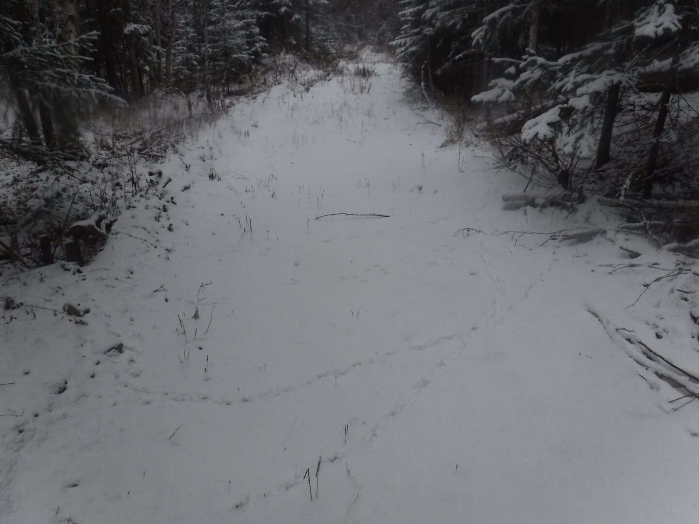 DSCF2518.JPG