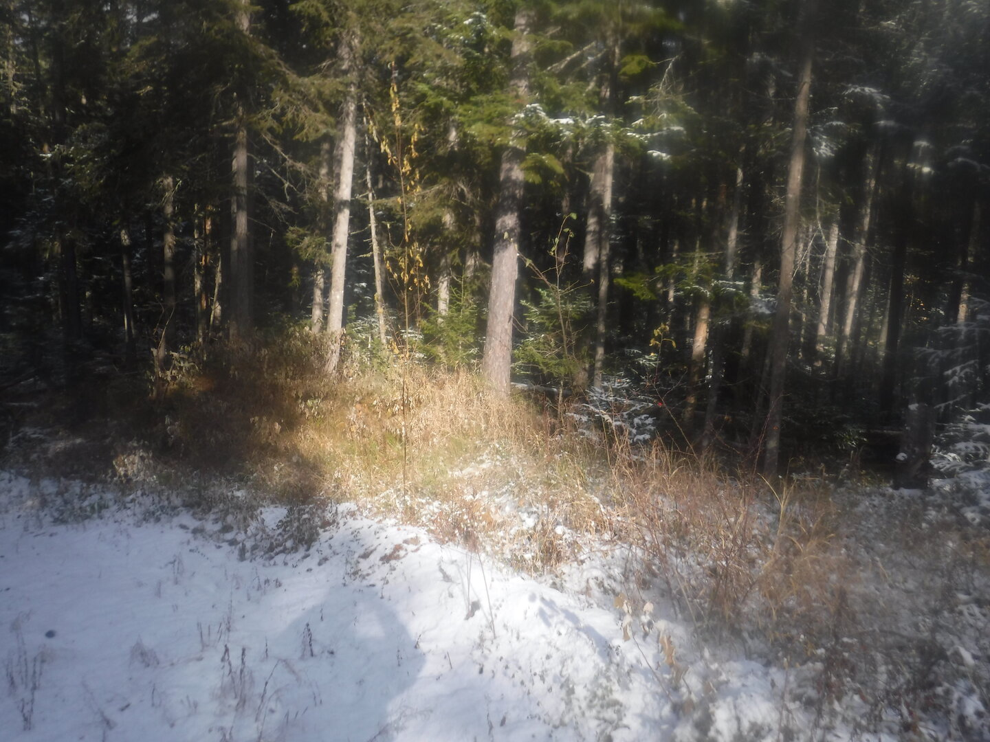 DSCF2524.JPG
