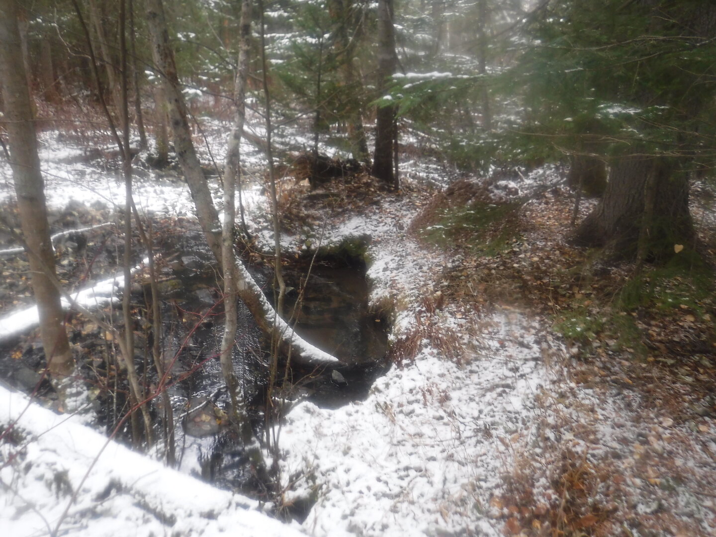 DSCF2525.JPG