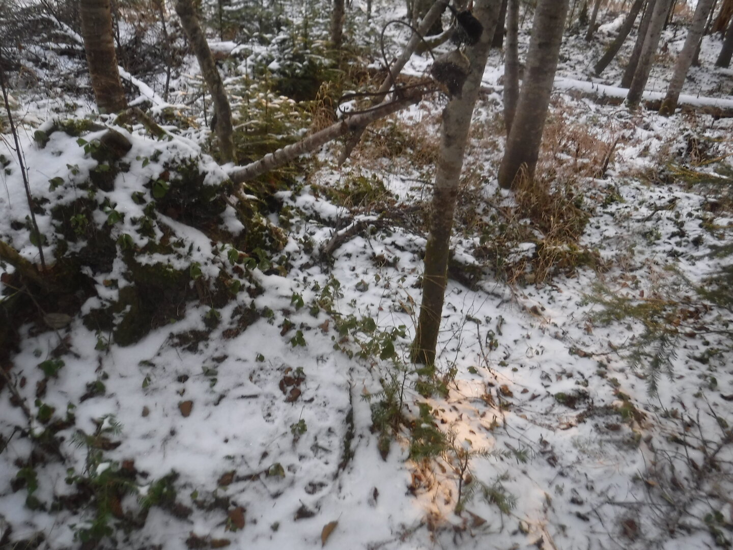DSCF2551.JPG