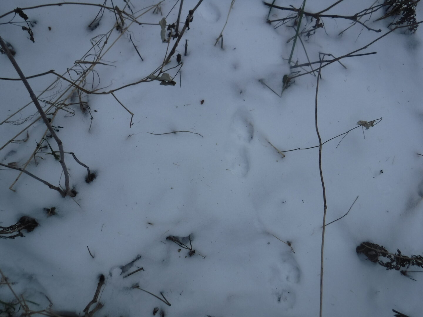 DSCF2555.JPG