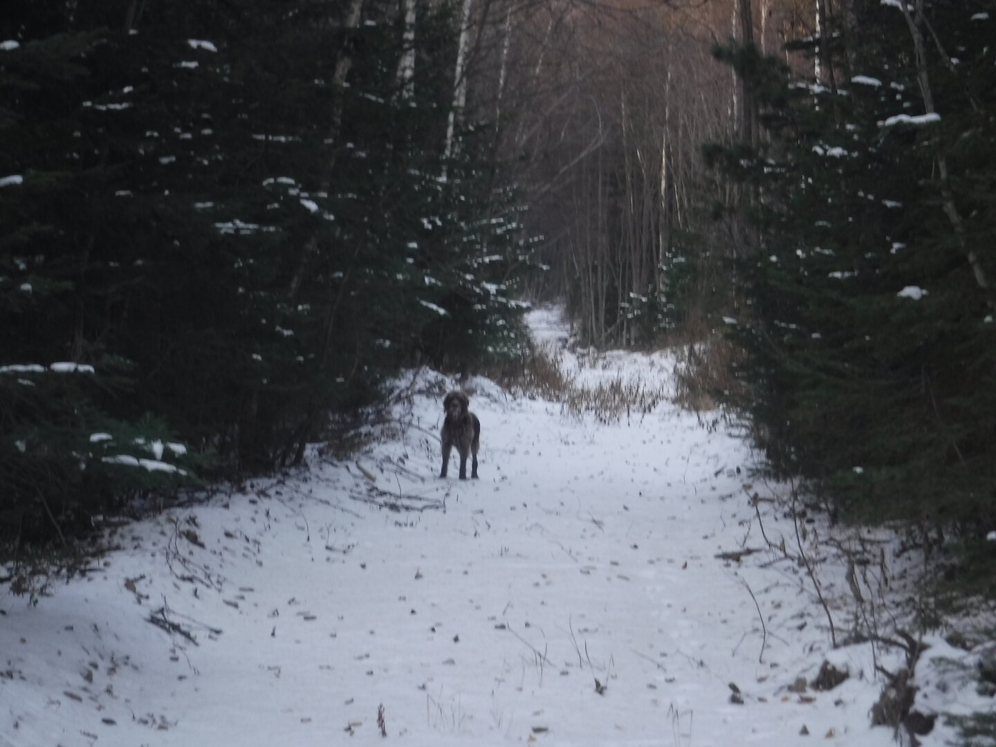 DSCF2556.JPG