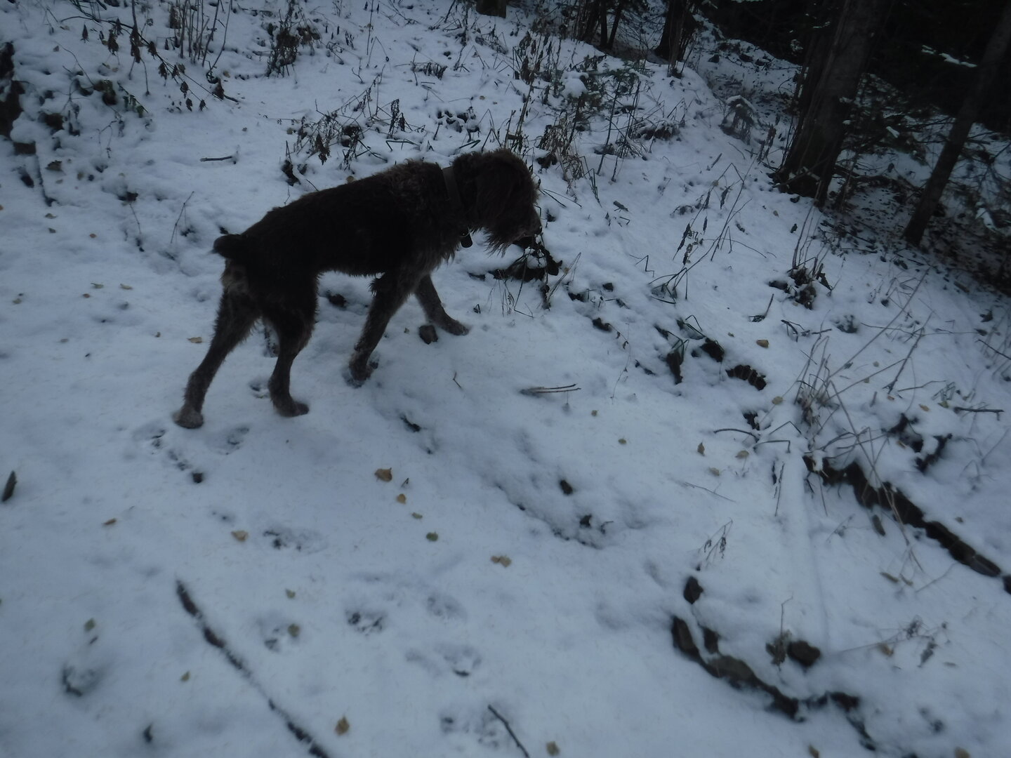 DSCF2561.JPG