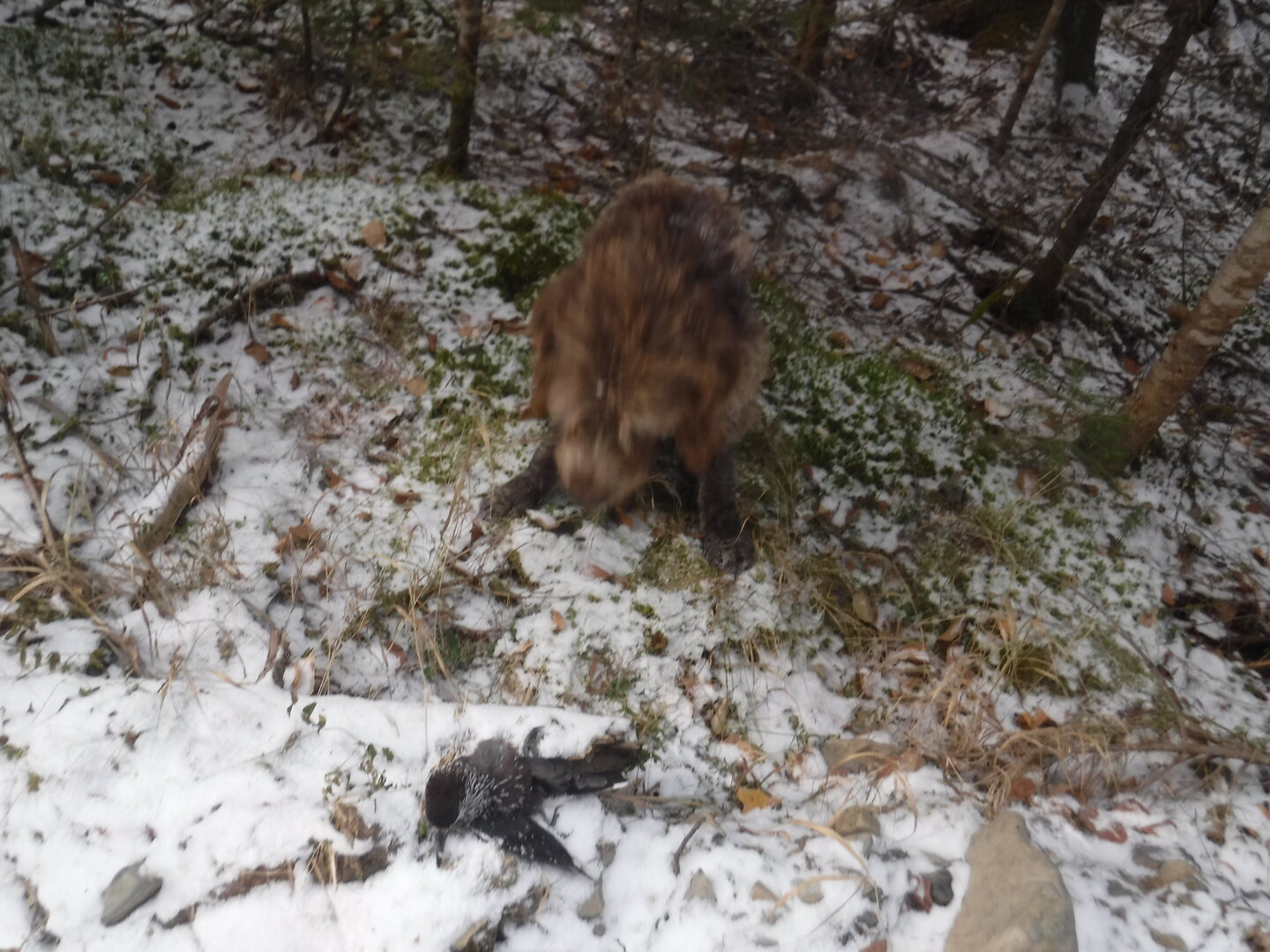 DSCF2563.JPG