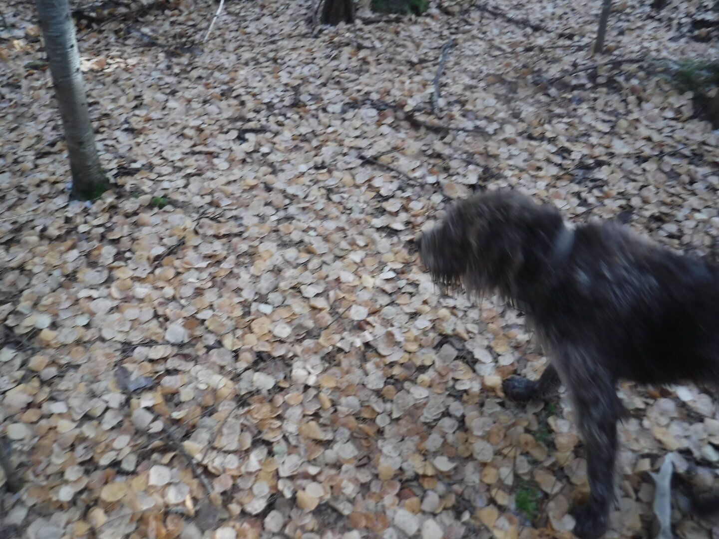 DSCF2565.JPG