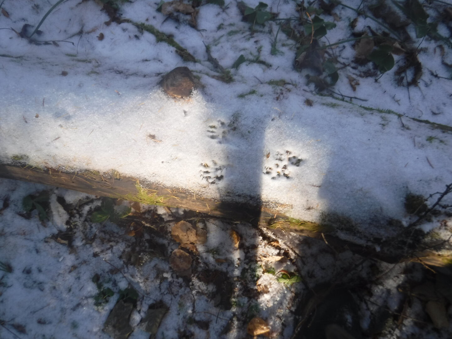 DSCF2569.JPG