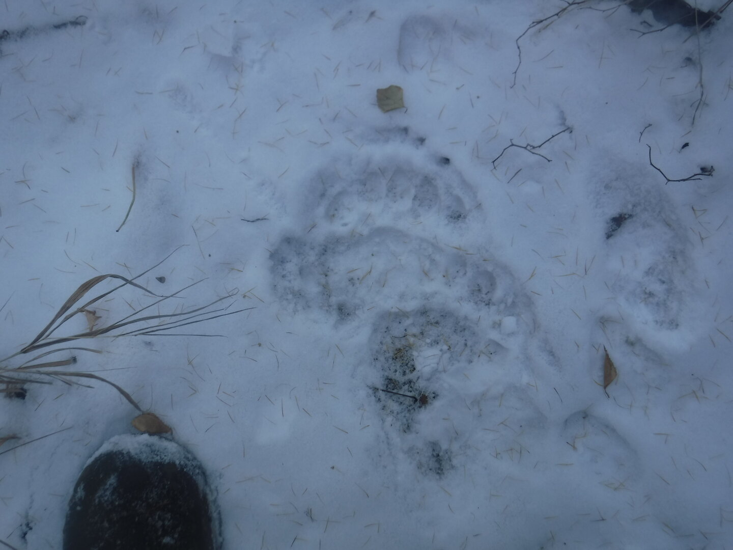 DSCF2571.JPG