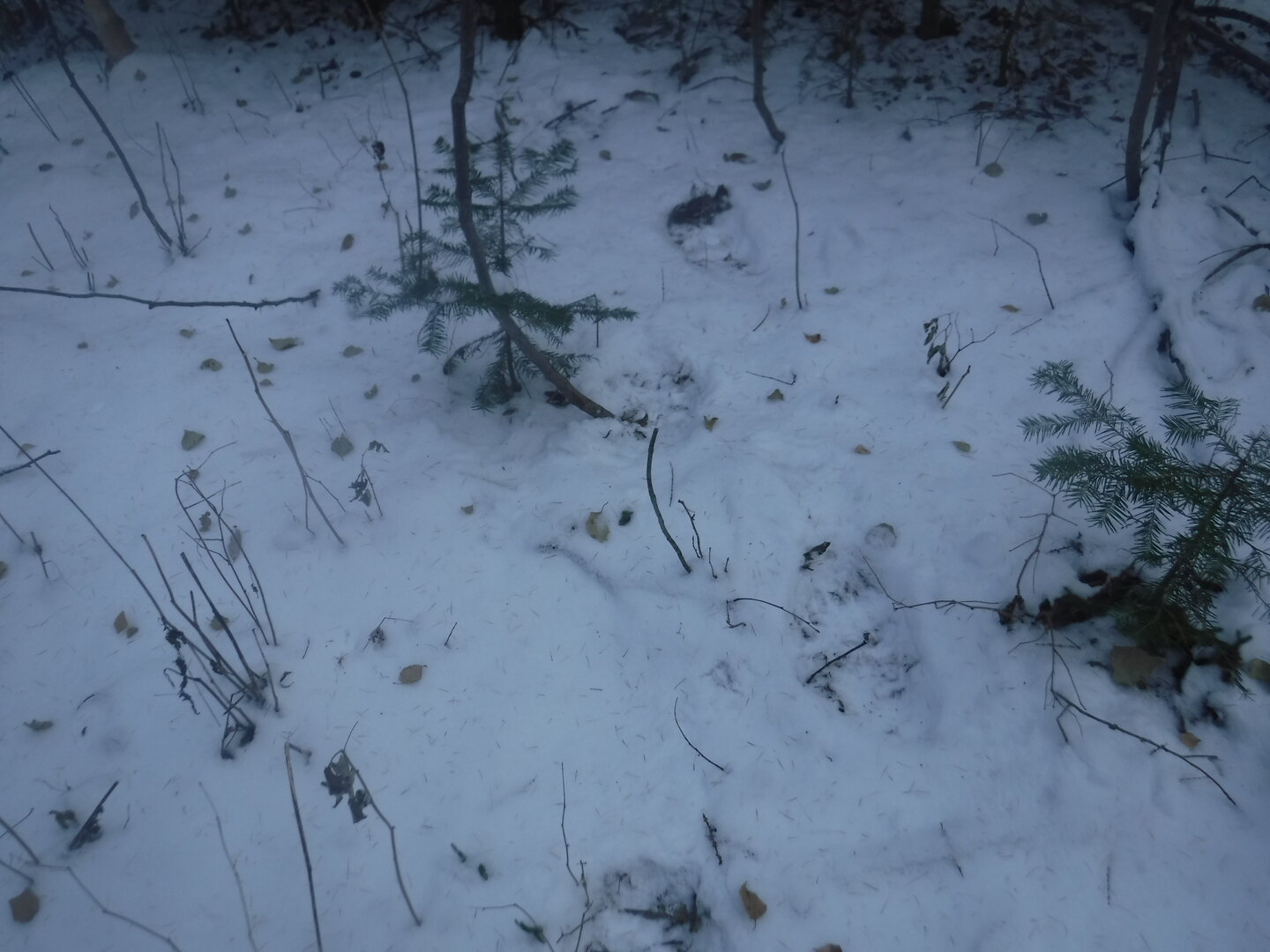 DSCF2574.JPG