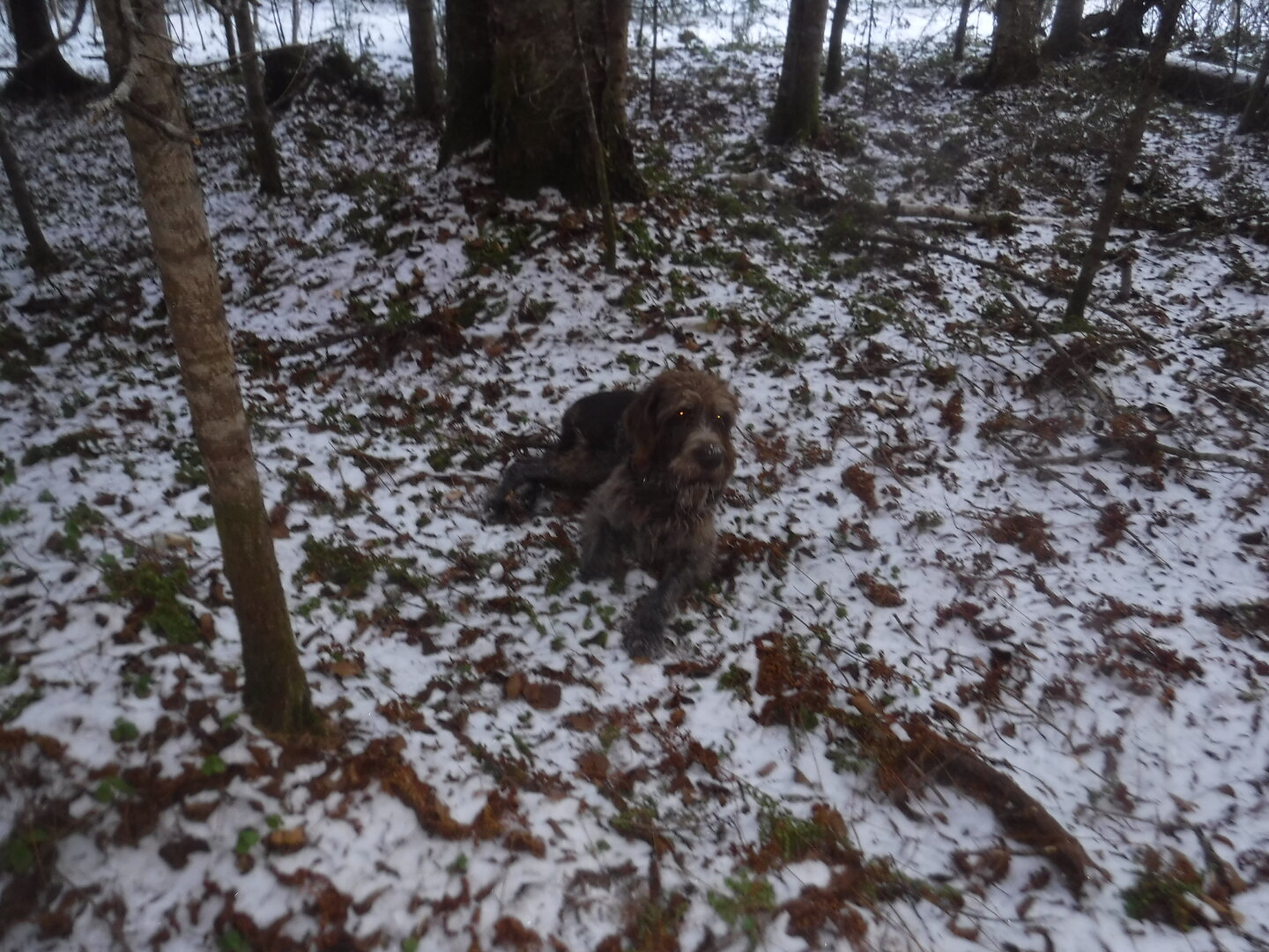 DSCF2577.JPG