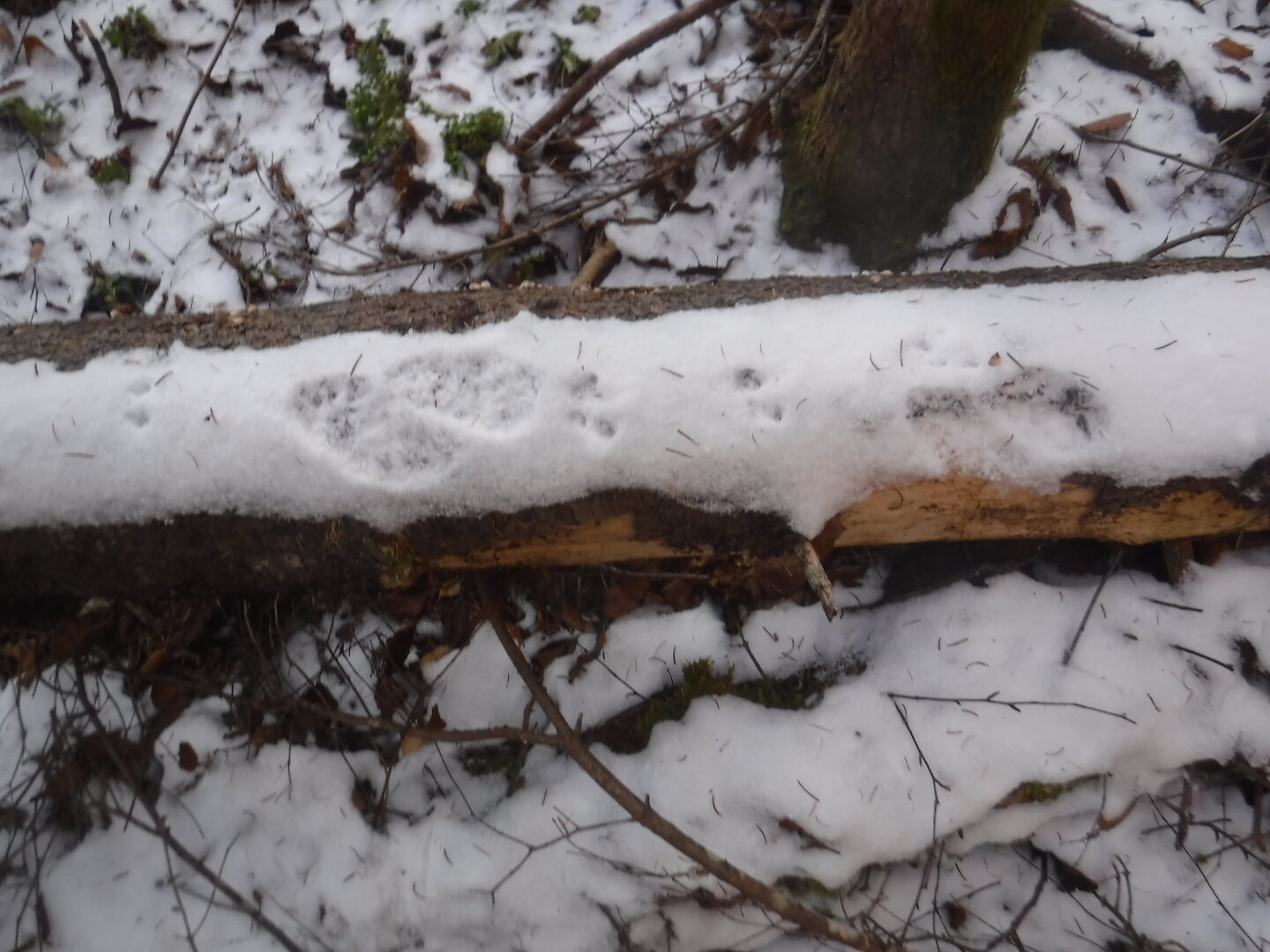 DSCF2578.JPG