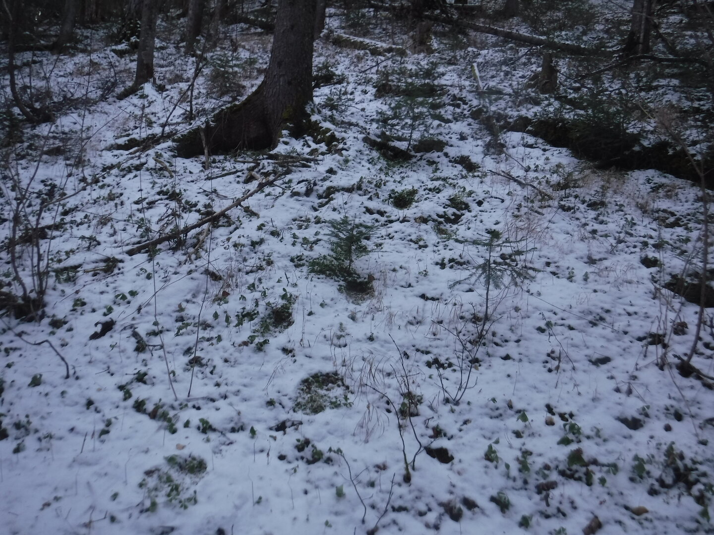 DSCF2579.JPG
