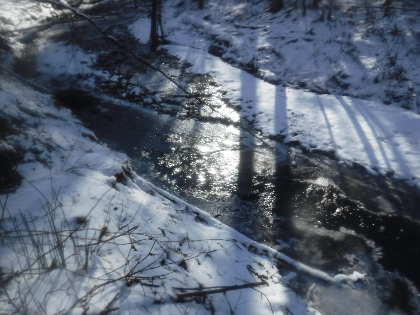 DSCF2581.JPG
