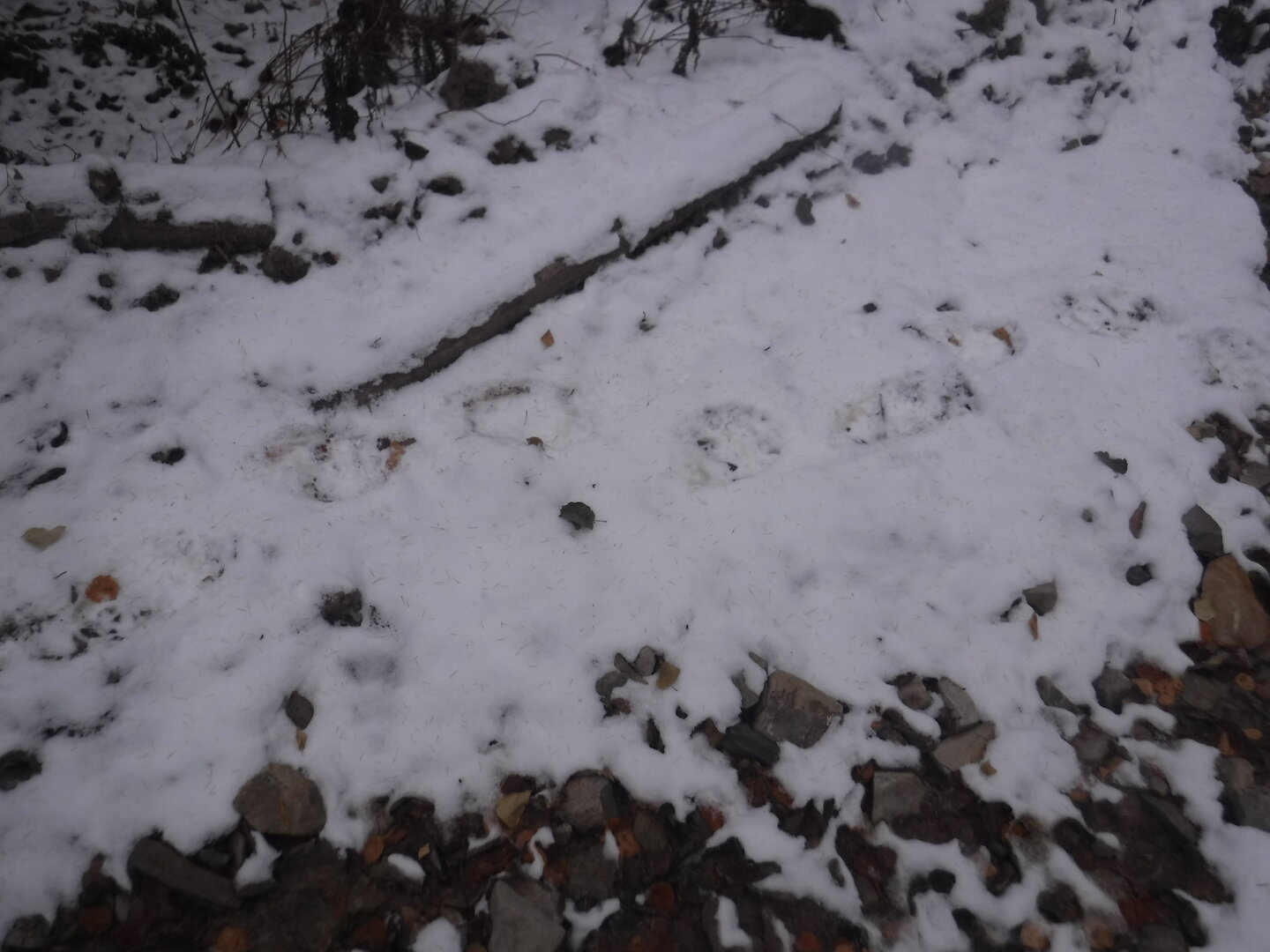 DSCF2585.JPG
