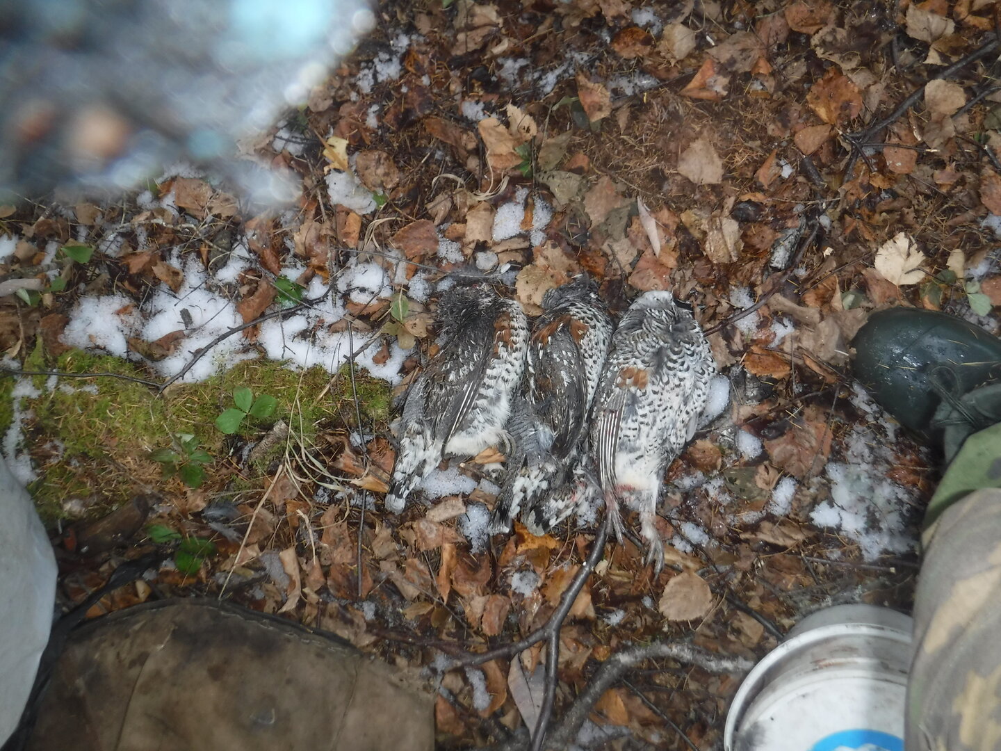 DSCF2592.JPG