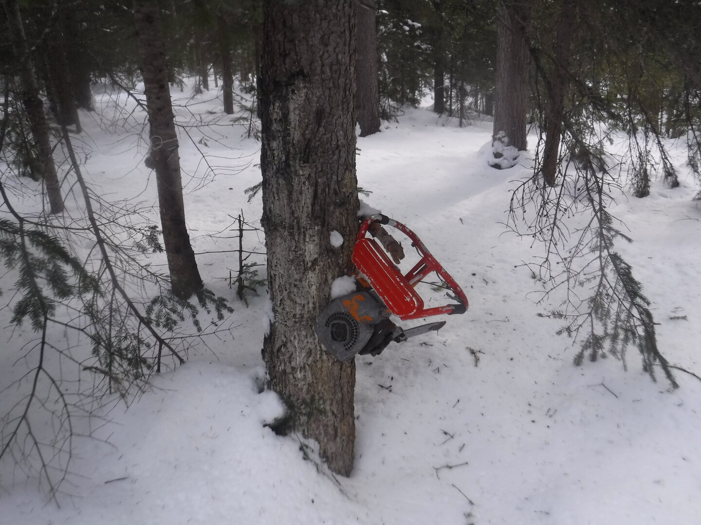 DSCF2893.JPG