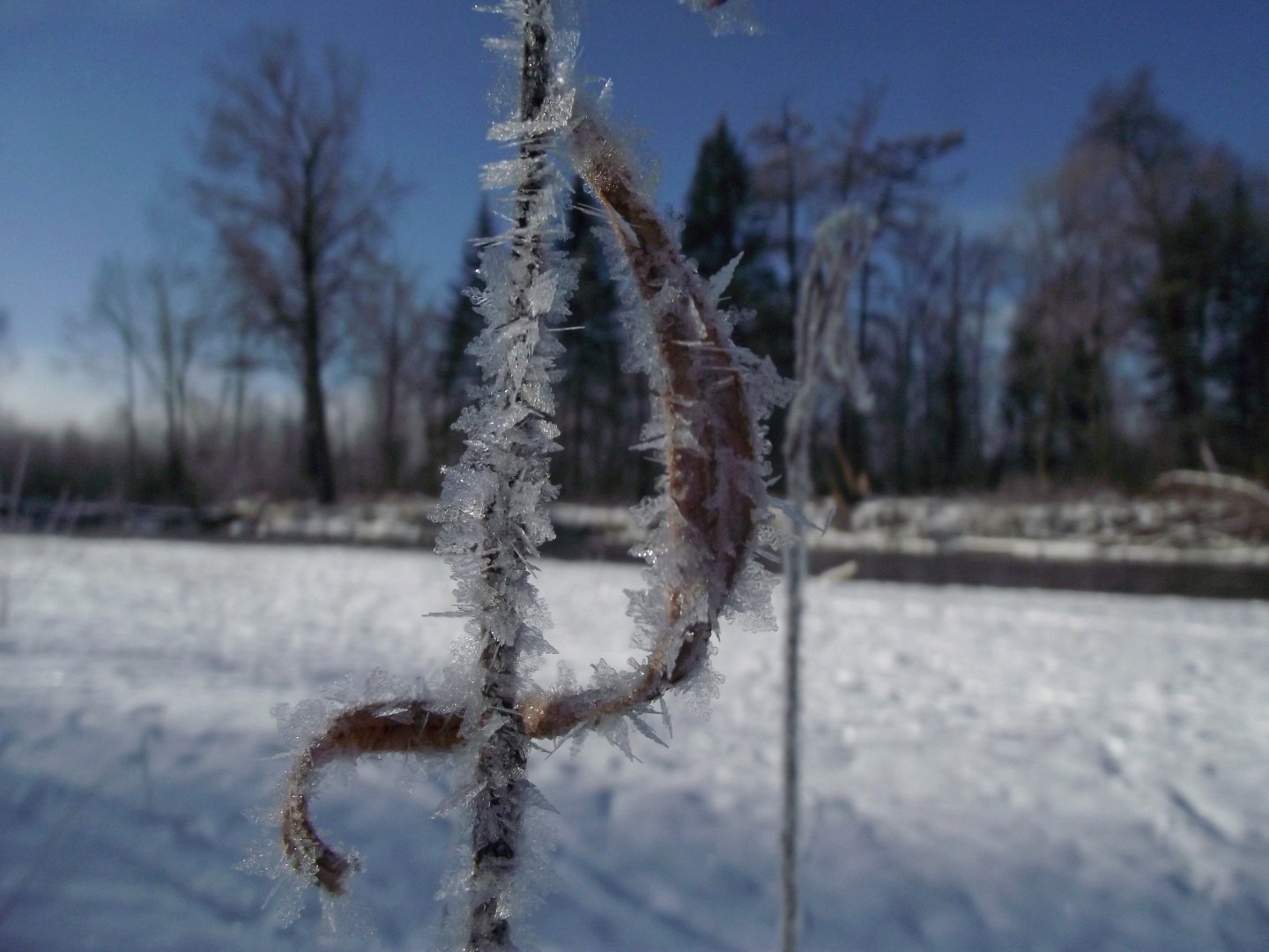 DSCF2918.JPG