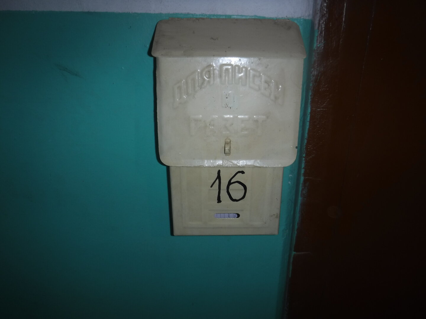 DSCF2940.JPG