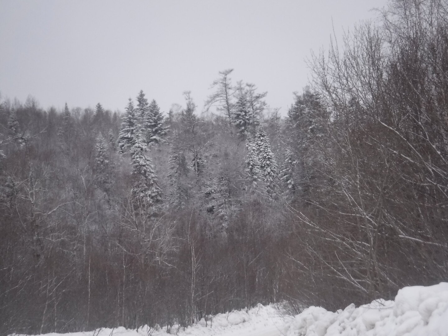 DSCF2957.JPG