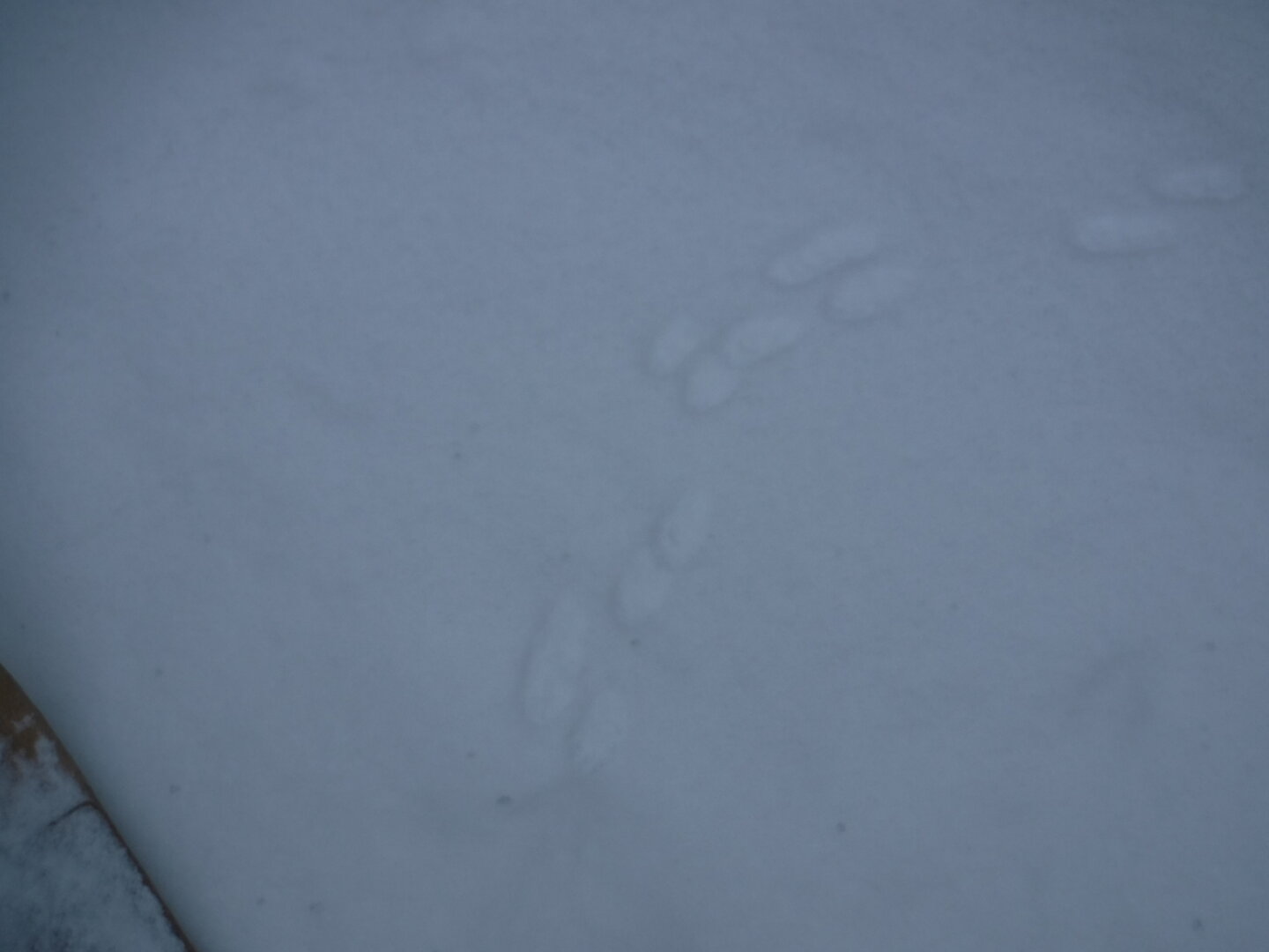 DSCF2958.JPG