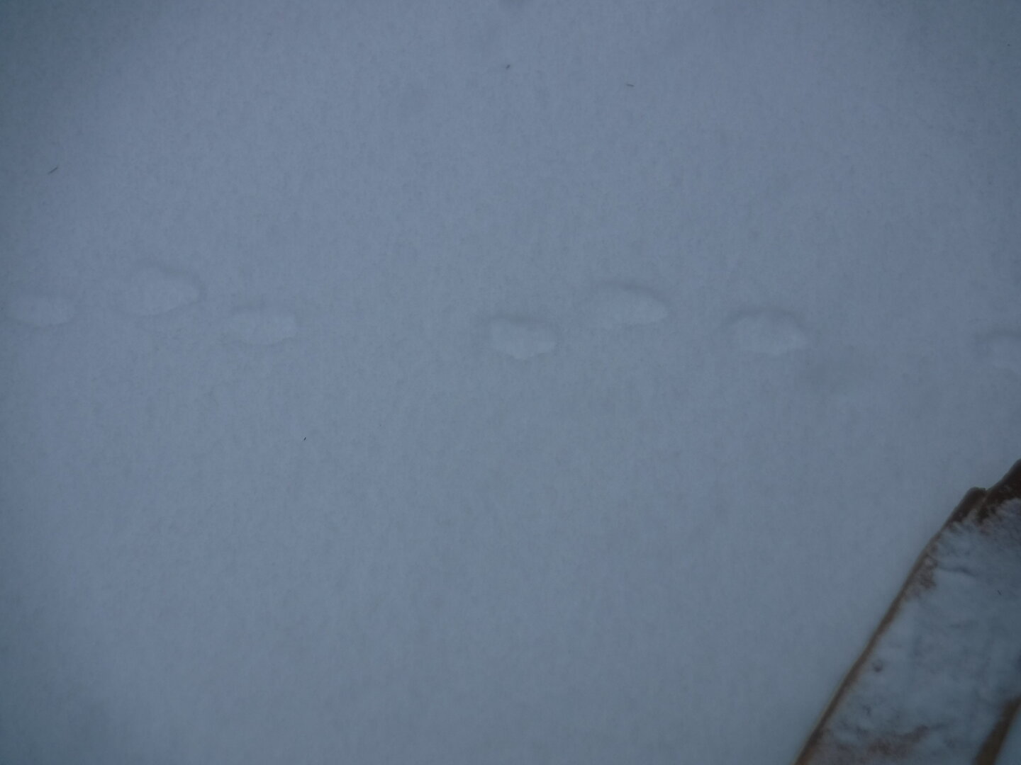 DSCF2960.JPG