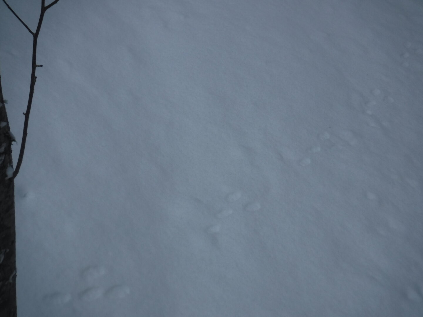 DSCF2961.JPG
