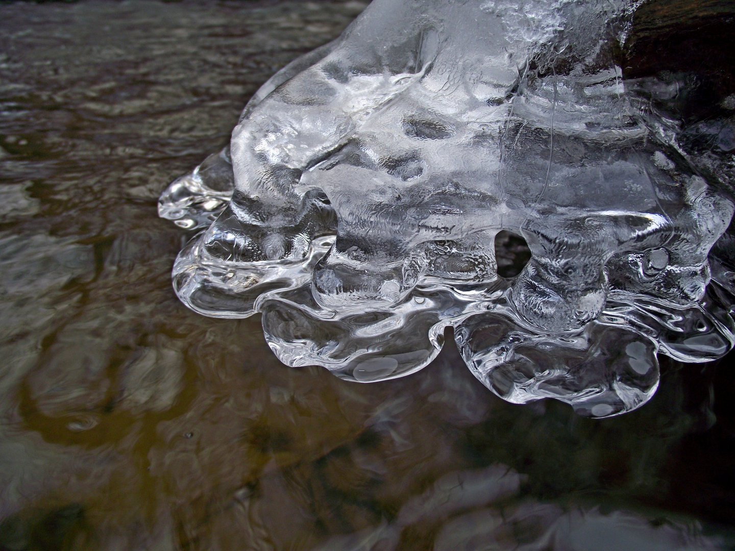 DSCF2970.JPG