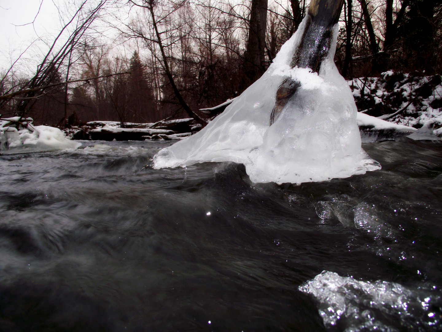 DSCF2976.JPG