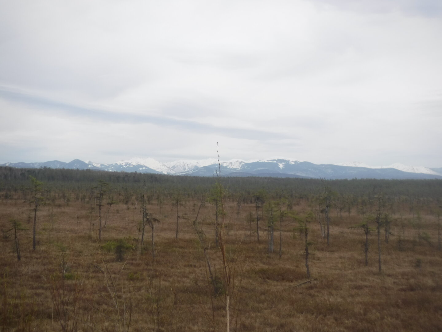 DSCF3031.JPG