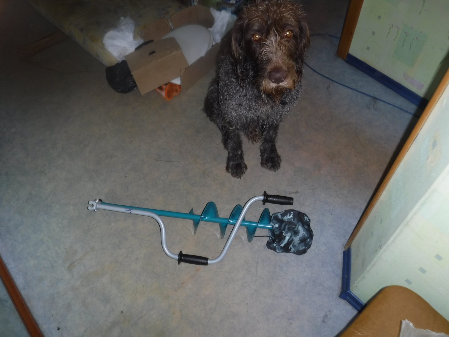 DSCF3037.JPG