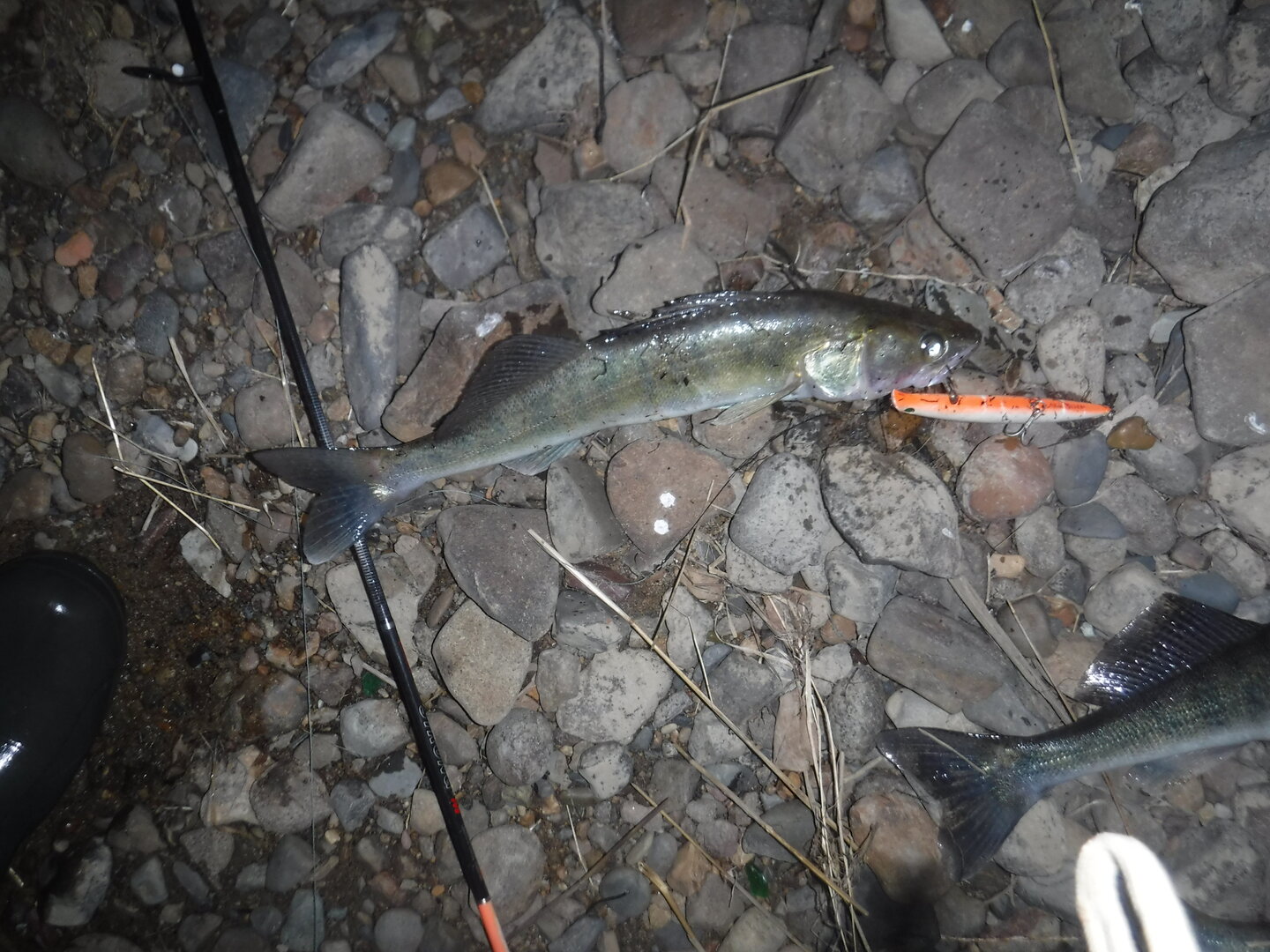 DSCF3050.JPG