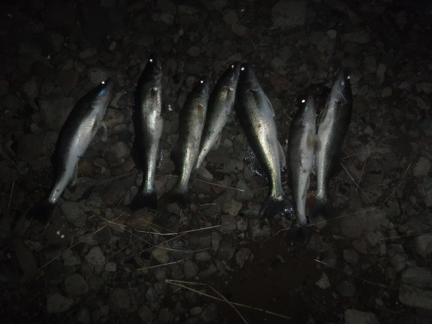 DSCF3052.JPG