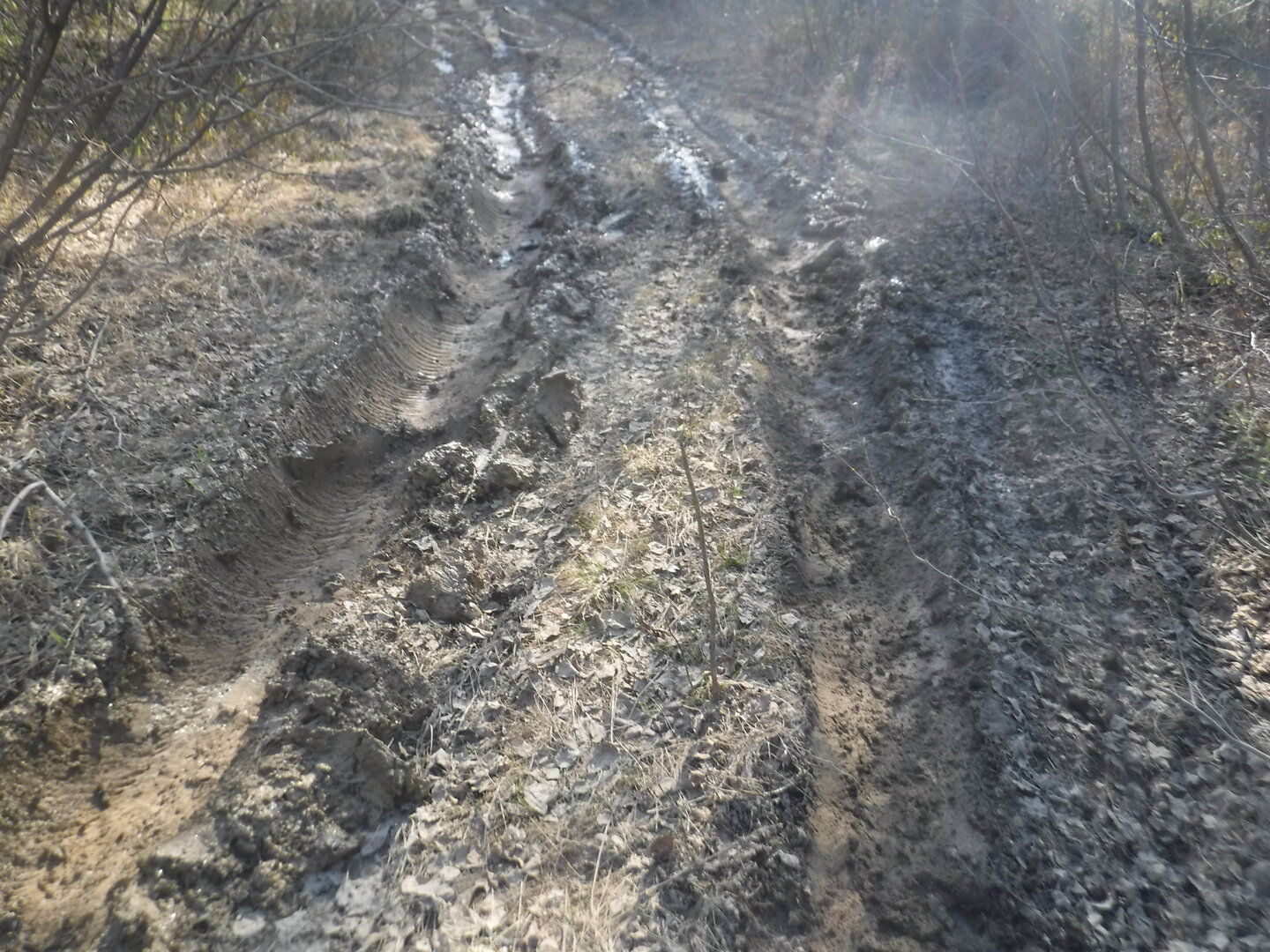 DSCF3062.JPG