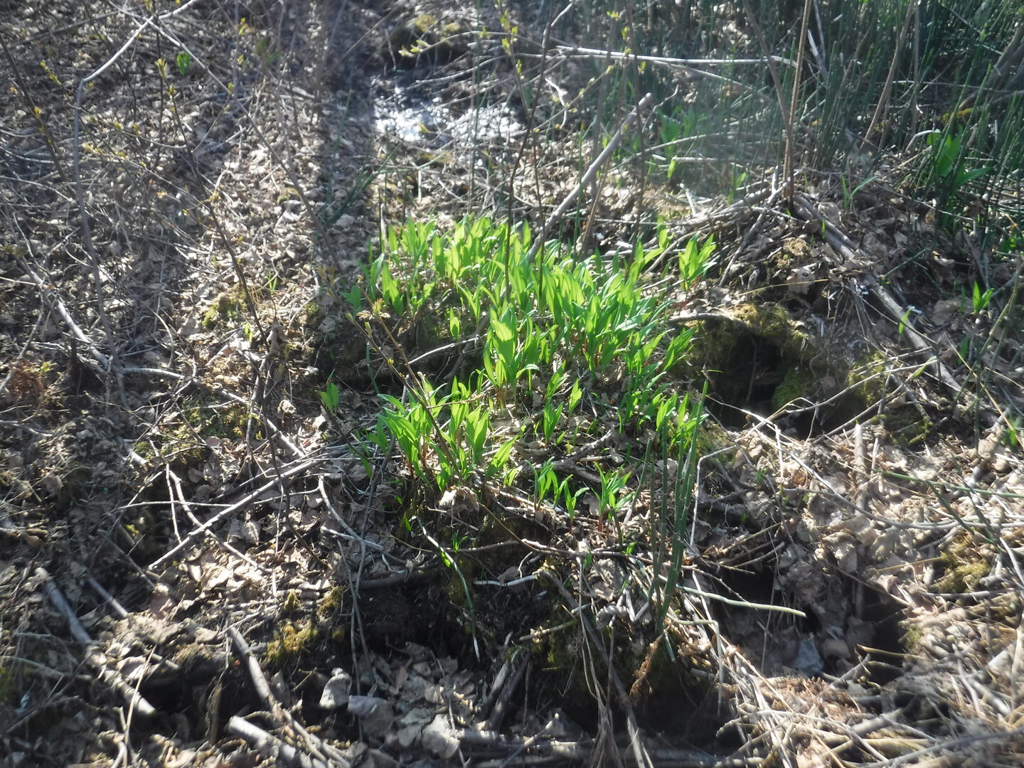 DSCF3064.JPG