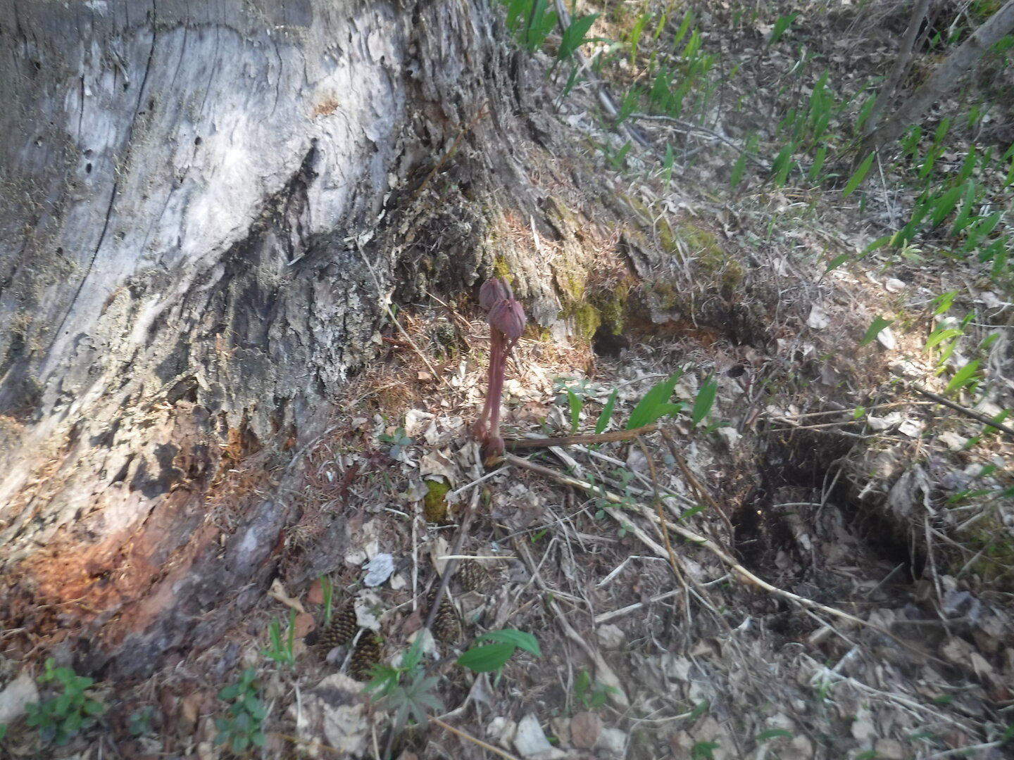 DSCF3068.JPG