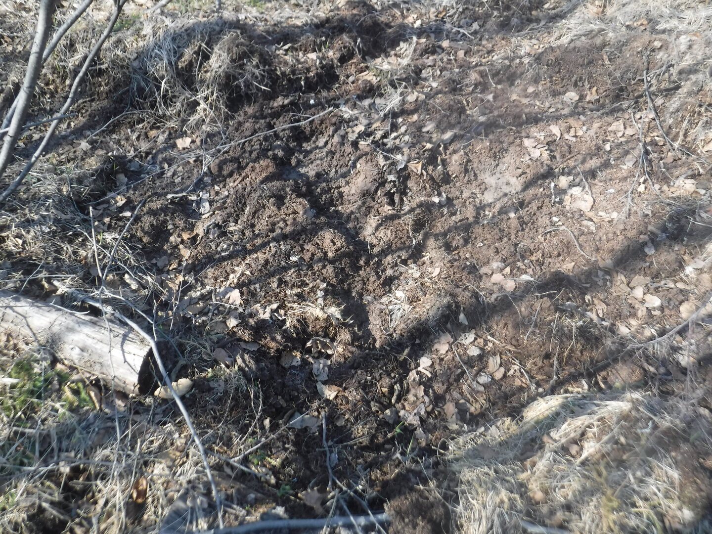 DSCF3075.JPG