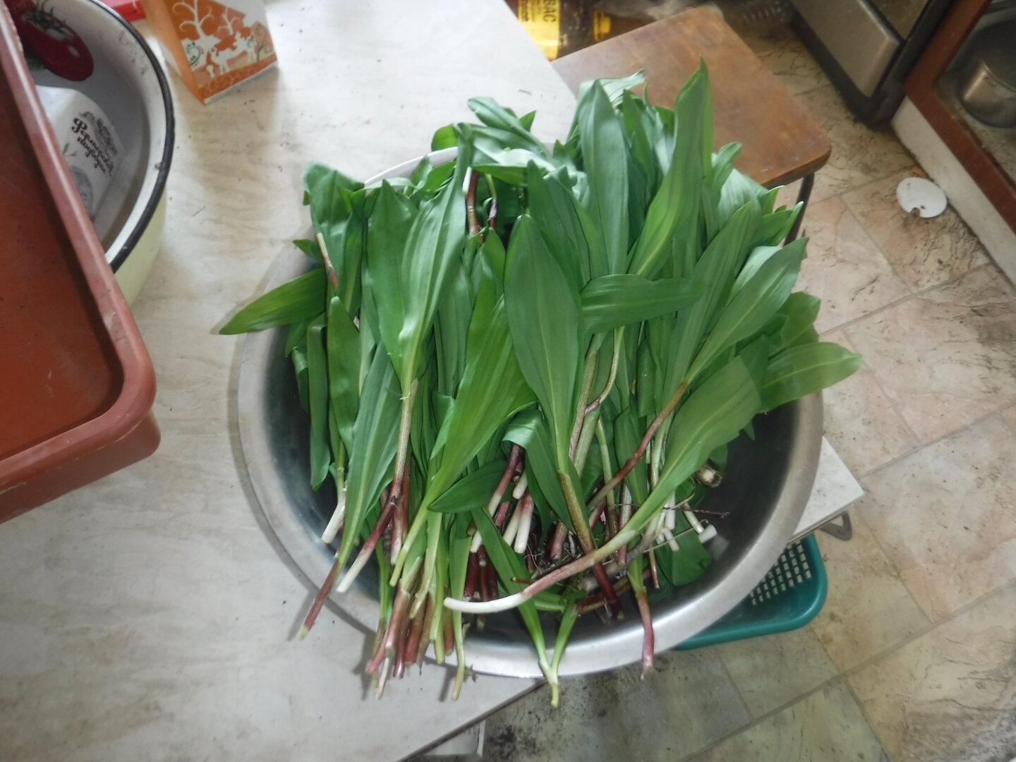 DSCF3077.JPG